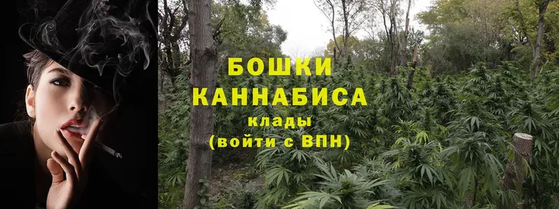 Конопля LSD WEED  даркнет сайт  Кологрив 